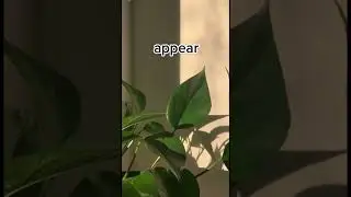 Проверьте ваш уровень языка