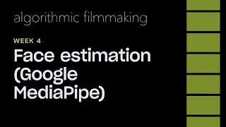 Week 4: Face estimation (Mediapipe face detection)