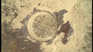 Mars Perseverance Rover Sol 253 | Newest images from Mars