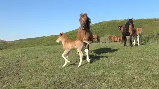 После ночного на отдых