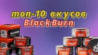 Топ 10 лучших вкусов табака для кальяна Blackburn
