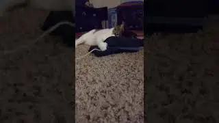she might be a little crazy