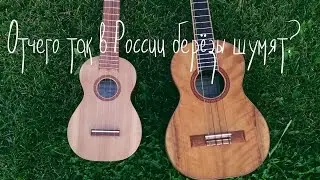 ОТЧЕГО ТАК В РОССИИ БЕРЁЗЫ ШУМЯТ? | УКУЛЕЛЕ | ТАБЫ | НОТЫ | UKULELESSONS.RU