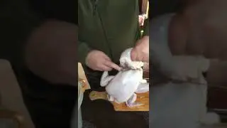 Мастер-класс по разделыванию курицы