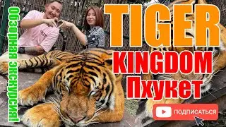 У ТИГРА В КЛЕТКЕ! TIGER KINGDOM PHUKET. Отдых в Тайланде! Обзорная ЭКСКУРСИЯ, Куда сходить?