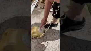 Rotary phone