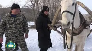 Шәп егет. 1 бүлек