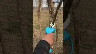 32MM Electric Pruning Shears 【SWANSOFT 8608】
