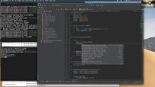 Go programming: code refactoring, best practices.