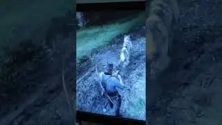 Killing the wolf in RDR2