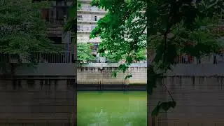 こんな音楽かなぁ🫶    #音楽のある生活#美しい世界#音楽家　#DailyLife#Beautifulscenary #answersong