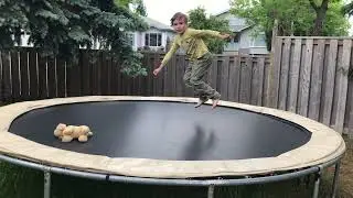 Ari's and Puppy's great adventures