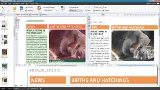 How to recognize text in pdf - ABBYY FineReader