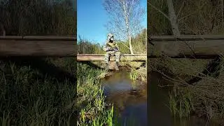 Stalker Почему ты оставил нас монолит 