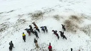 алик кокпары
