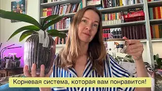 ORCHID ROOTS and a funny story about life in Germany!😉😜🌸🔥