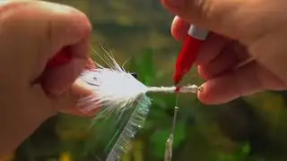 Double Barrel (Minnow) Popper - The Fly Every Bass Fisherman Needs