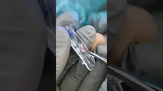 Glass Art French. AS Anatomic Gel Clear Art. Ozon: 2168835428 Art. WB: 423544086