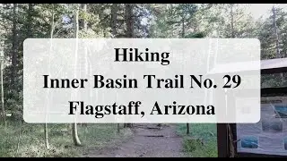 Hiking Inner Basin Trail No. 29 Flagstaff, Arizona