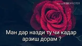 Суоли зан ба суйи шавхар