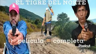 EL TIGRE DEL NORTE / PELÍCULA COMPLETA #narcos #cinemexicano #cine