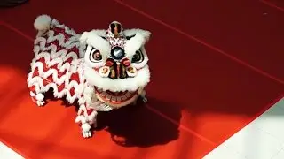雪隆拜天公醒獅團  總得 - 8.66