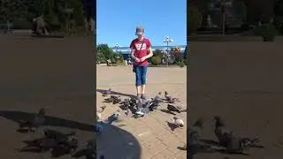 Ручные птички☺