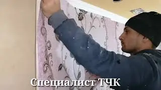 БЕХТАРИН ПАТАЛОК ДАР 2020