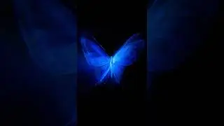 MG$ax - Love’s Glow