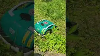No perimeter wire Ambrogio L-60 Deluxe Robot Mower in the USA