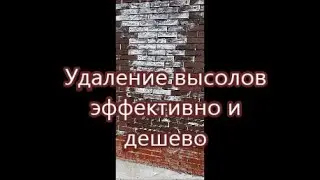Удаление высолов эффективно и дешево