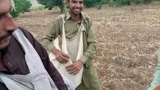 Very funny hai aik bar zrorr daikhain support kro mujhy