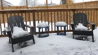 Sights and sounds on a Mid Winter Day, Jan  18 2025