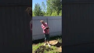 Волшебная лампа #юмор #семья