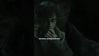 Harry Potter was regarded as the true Master of Death