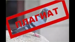 Куруса сплагиатили!
