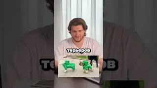 Курьеров заменят терьеры? 🤣