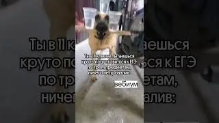 В тг канале много полезного для ЕГЭ ❤️ 