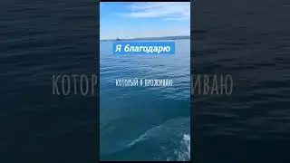 # благодарность секрет равновесия, подсказок и изобилия #матрица #консультация