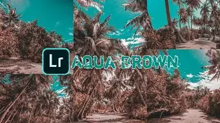 Aqua & Brown Lightroom Mobile - Lightroom Mobile Tutorial