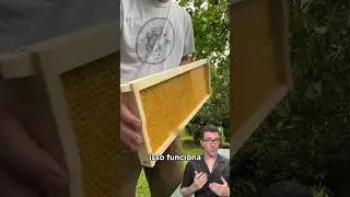 Porque fazem colmeias com cera? 🤔