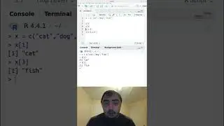 Subsetting Vectors in R