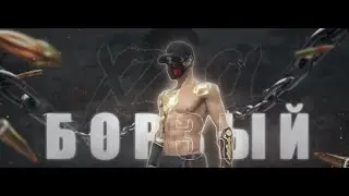 НОЧНОЙ СТРИМ