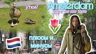 🧃Один день из жизни в Амстердаме || О плюсах и минусах || Воздушная тревога в Европе?! 🇳🇱