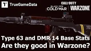 Type 63 and DMR 14 Base Warzone Stats! How good are they in Warzone?