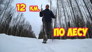 12 км  по лесу с Пэксом