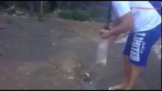 Лучшие приколы о животных!!