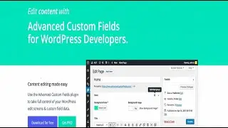 How to Advanced Custom Fields in WordPress | Tutorial 48 | WordPress Tutorial