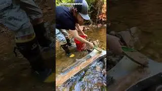 How much money can you make from gold panning?!
