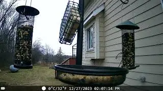 black cap 2